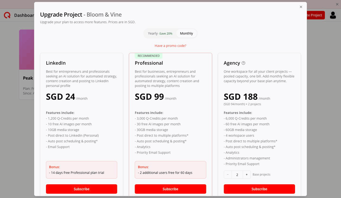 Agency pricing card at 2 base projects